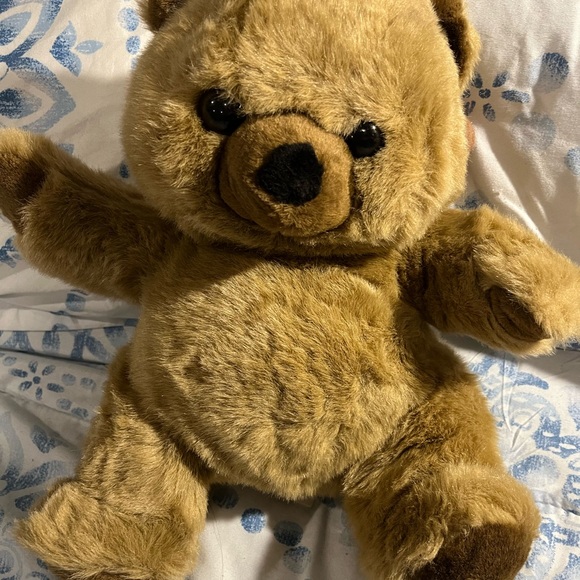 Pottery Barn Kids Other - Dex teddyBear womb heartbeat